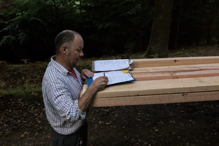 Visual stress grading & CE mark for structural timber White Wood