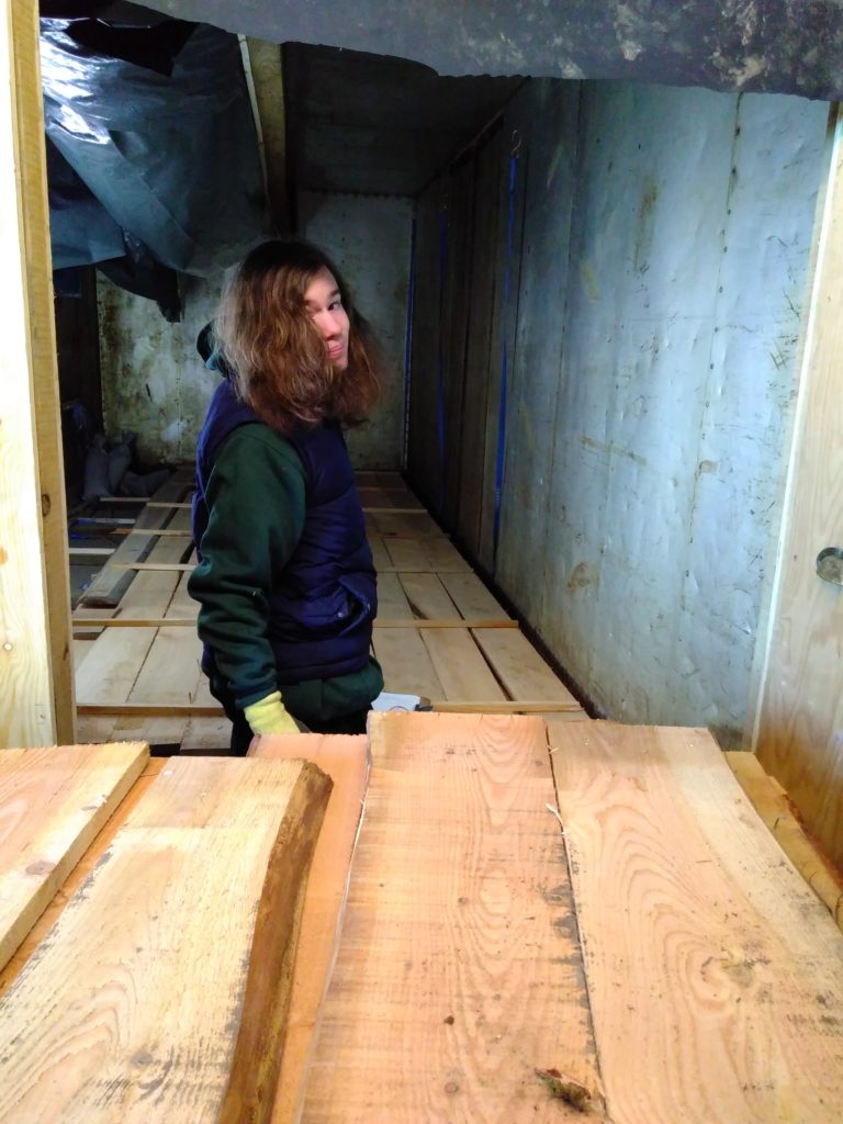 Kiln drying White Wood Management