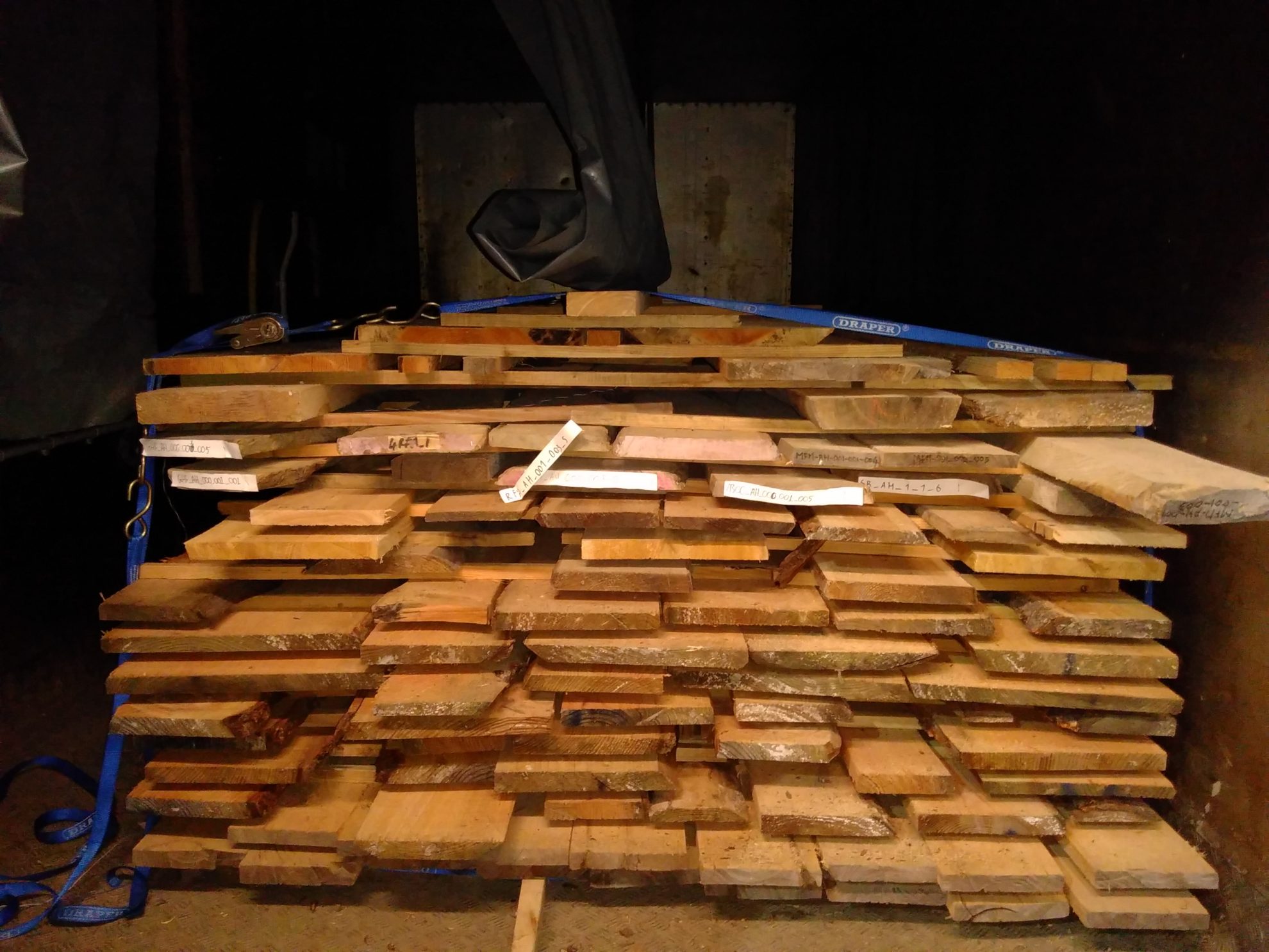 Kiln drying White Wood Management
