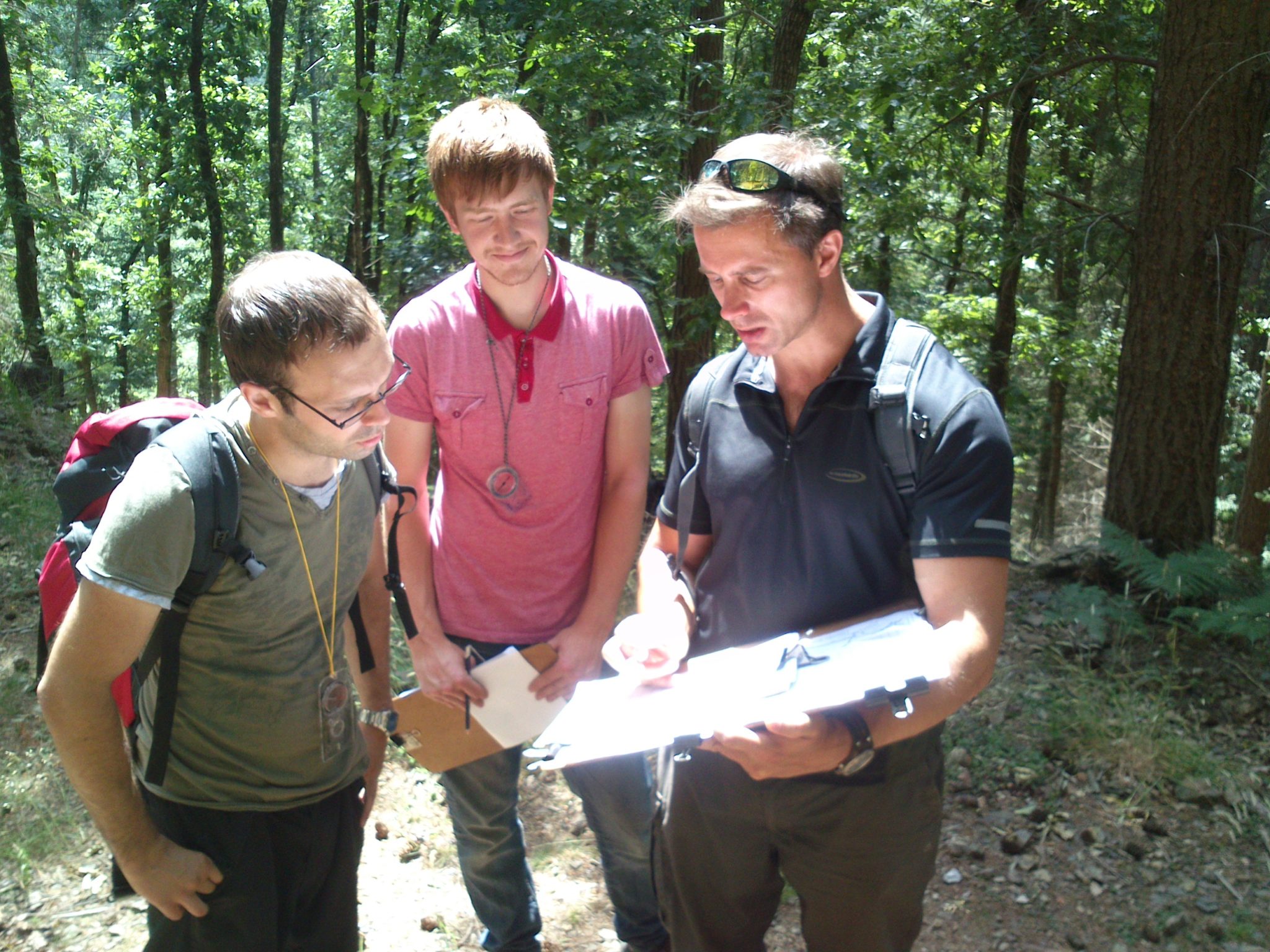 Woodland management jobs devon