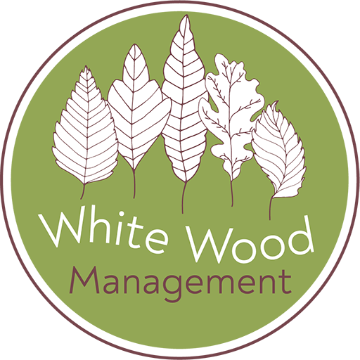 White Wood Management